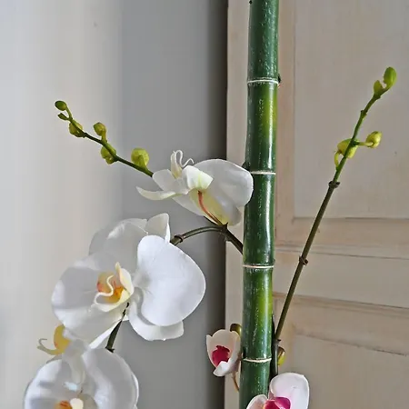 アパート Au Coeur Des Papes, Dans Batisse De Charme & En Coeur De